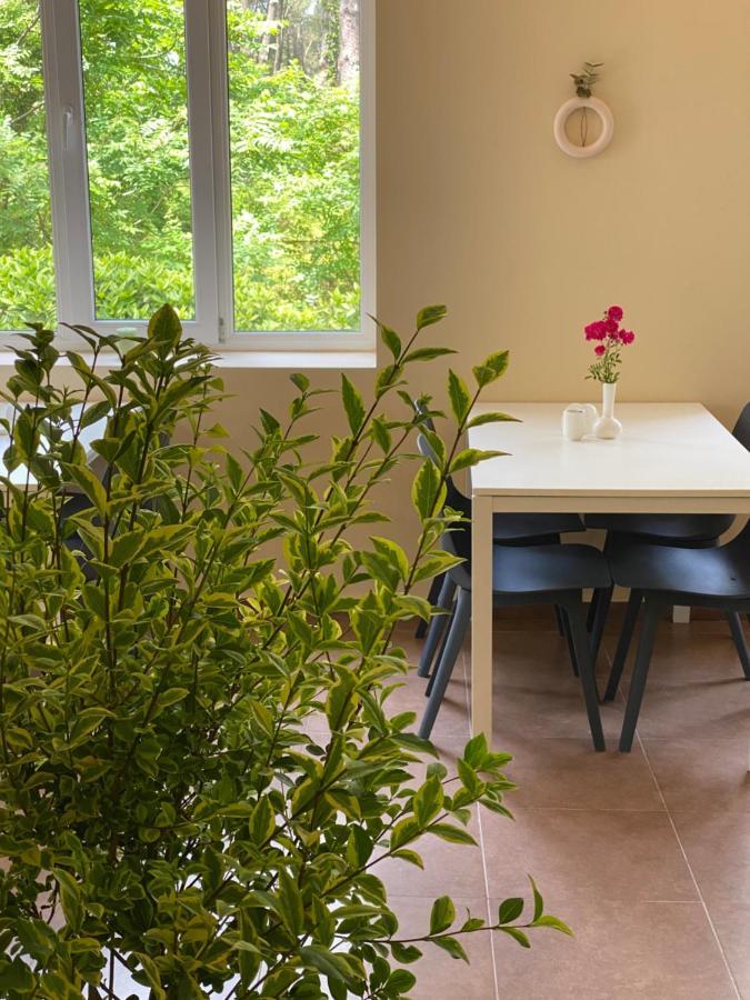 Buxus Hotel Shekvetili 外观 照片